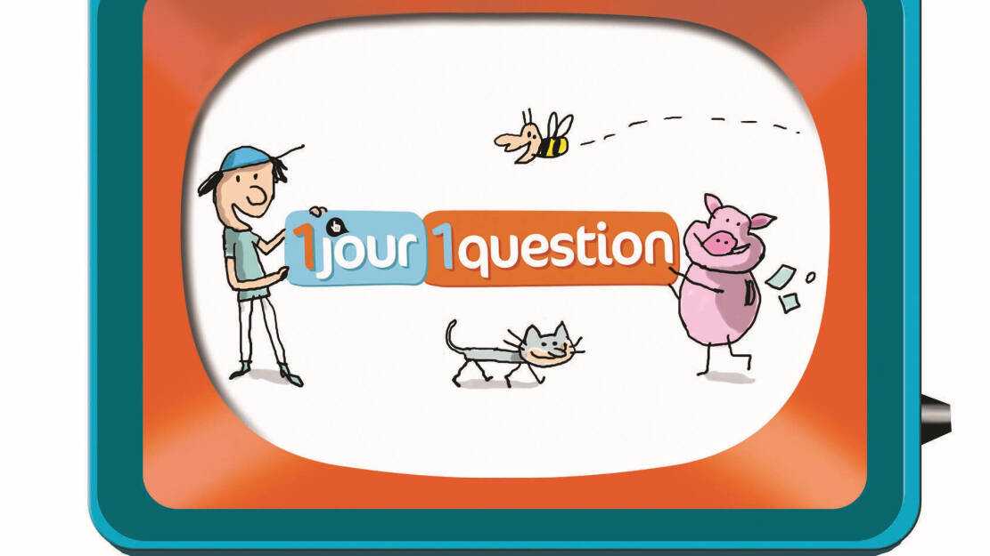 Sur France 4 dès 06h55 : Un jour, une question