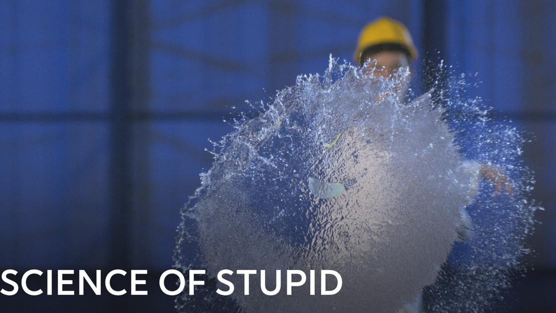 Science of Stupid