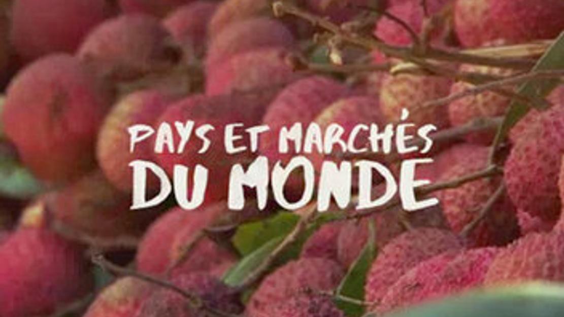 Pays et marchés du monde